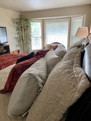 3 bedrooms, desk, iron/ironing board, travel cot