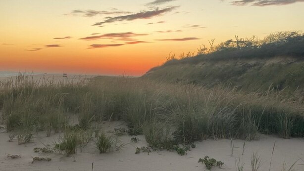Une plage au coucher du soleil, avec des dunes et une végétation clairsemée.