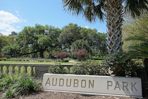 Explore Audubon Park, a well-maintained public space with a variety of trees and landscaped areas.