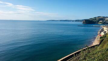 Plage, chaises longues