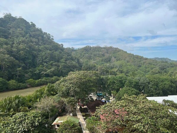 A lush, green landscape with a river, dense forest, and a small building with a red roof.