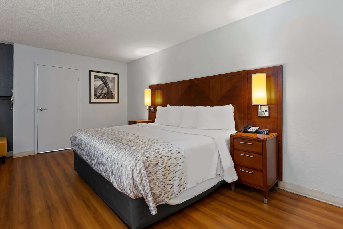 Chambre, 1 trÚs grand lit, accessible aux personnes à mobilité réduite, non-fumeurs | Fer et planche à repasser, Wi-Fi gratuit, draps fournis
