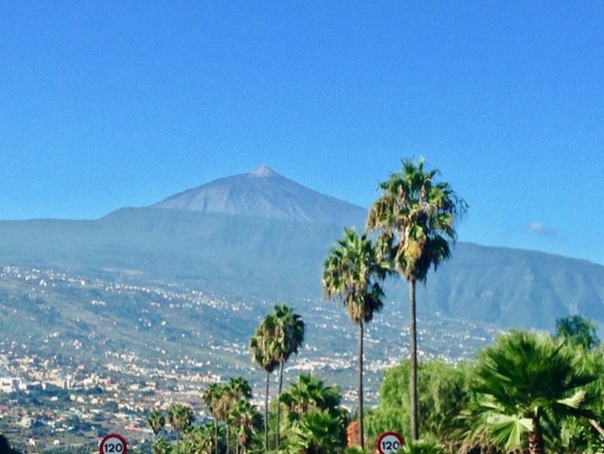 A mountain with a clear sky, palm trees, and a speed limit sign.