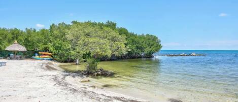Beach nearby, sun loungers, beach towels