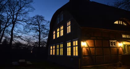 Dike child Elberadweg