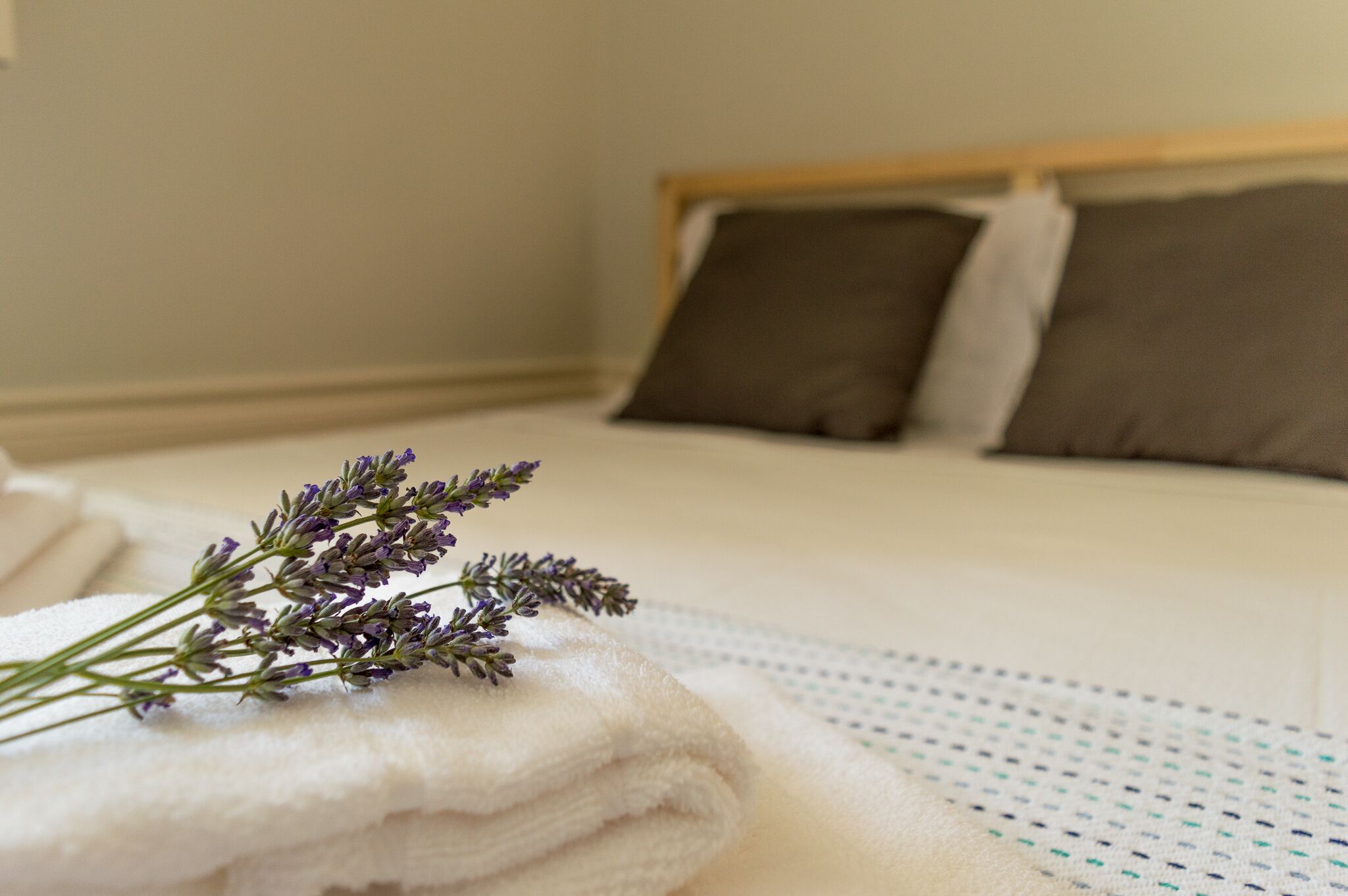 Photo - Queen's Garden Hostel