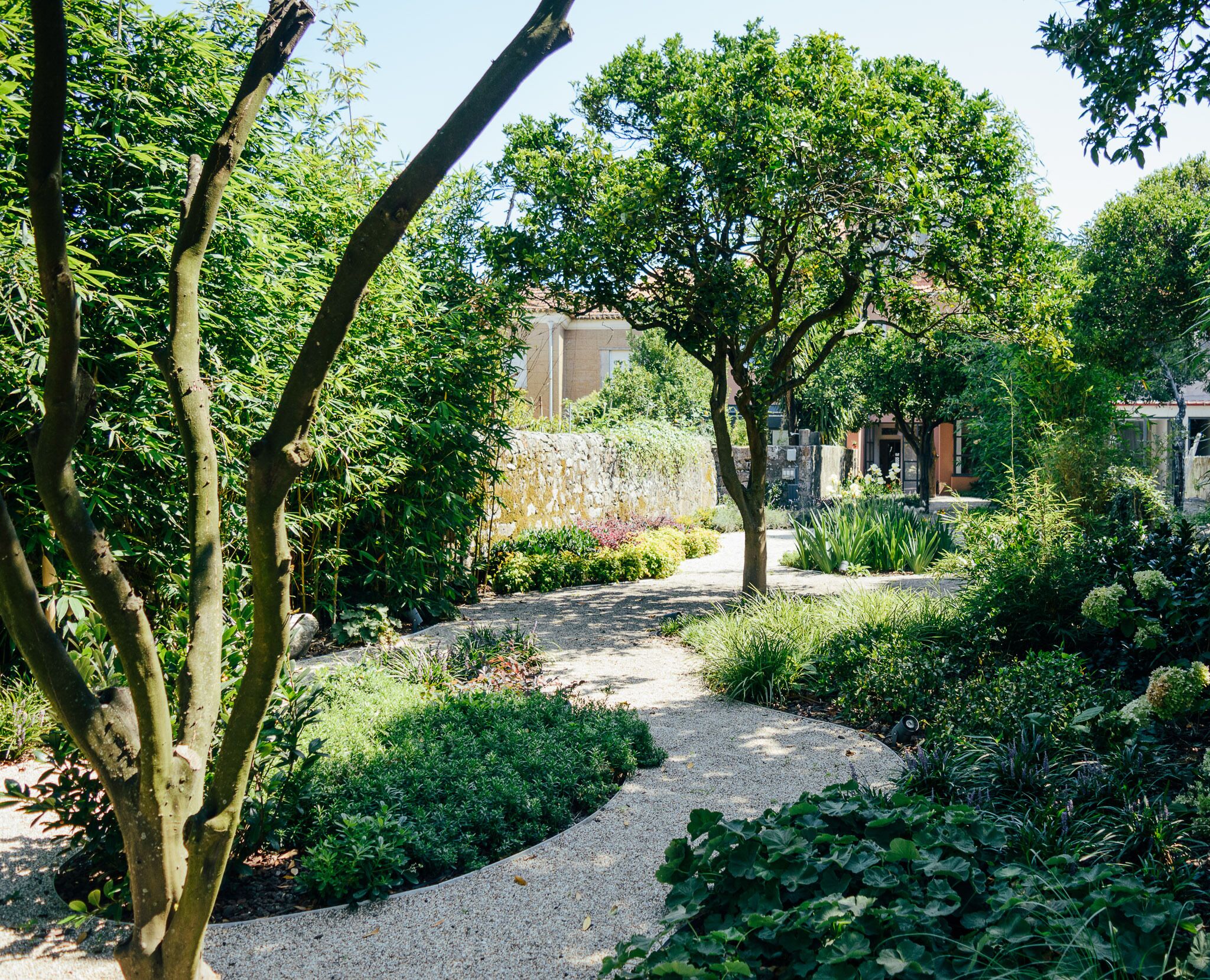 Photo - Queen's Garden Hostel