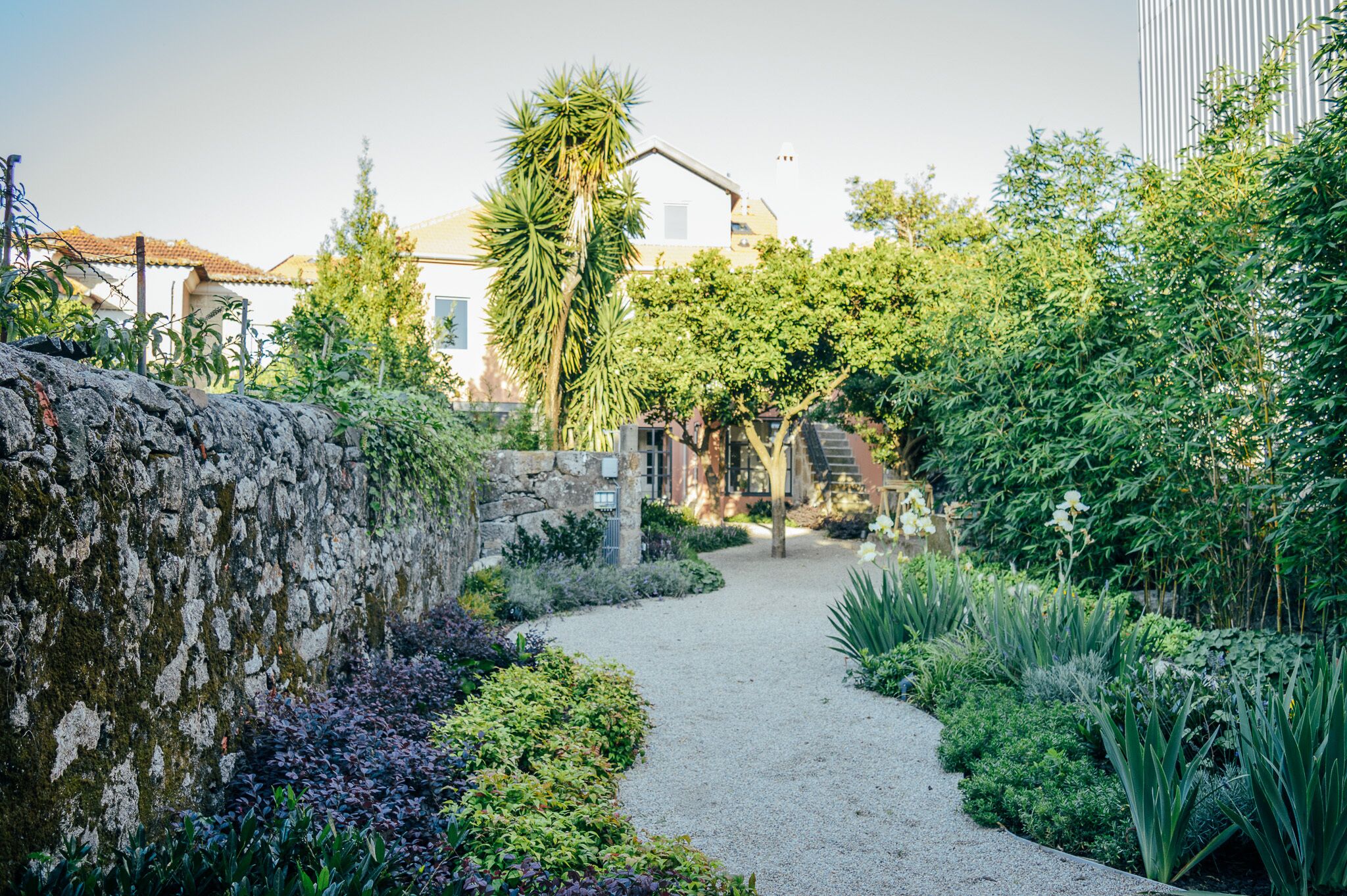 Photo - Queen's Garden Hostel