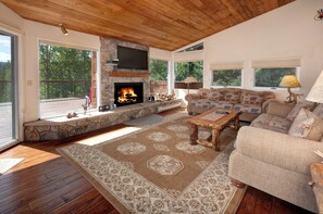 TV, fireplace, books, stereo