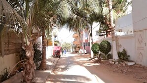 Rua estreita bordeada por palmeiras e edifícios.