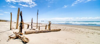 Dog-Friendly Motel Room Located Near the Beach and Downtown