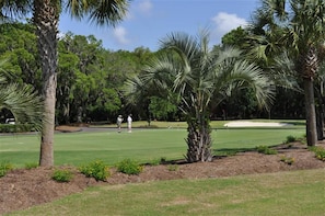 A golf course with palm trees, a well-maintained lawn, and a sand bunker.