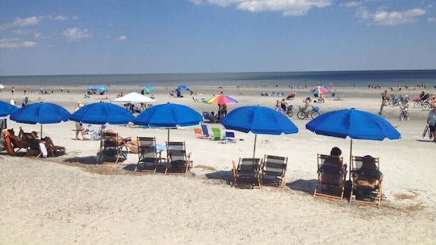 A beach with rows of blue umbrellas and beach chairs. - Beachwalk 106 Shipyard Hilton Head Island, 5 Min. Walk to Beach (Hilton Head Island)