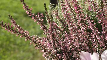 Façade de lâhĂ©bergement