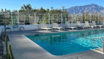 Outdoor pool, sun loungers