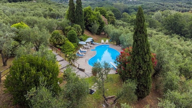 A pool surrounded by lush greenery and a mountainous backdrop.