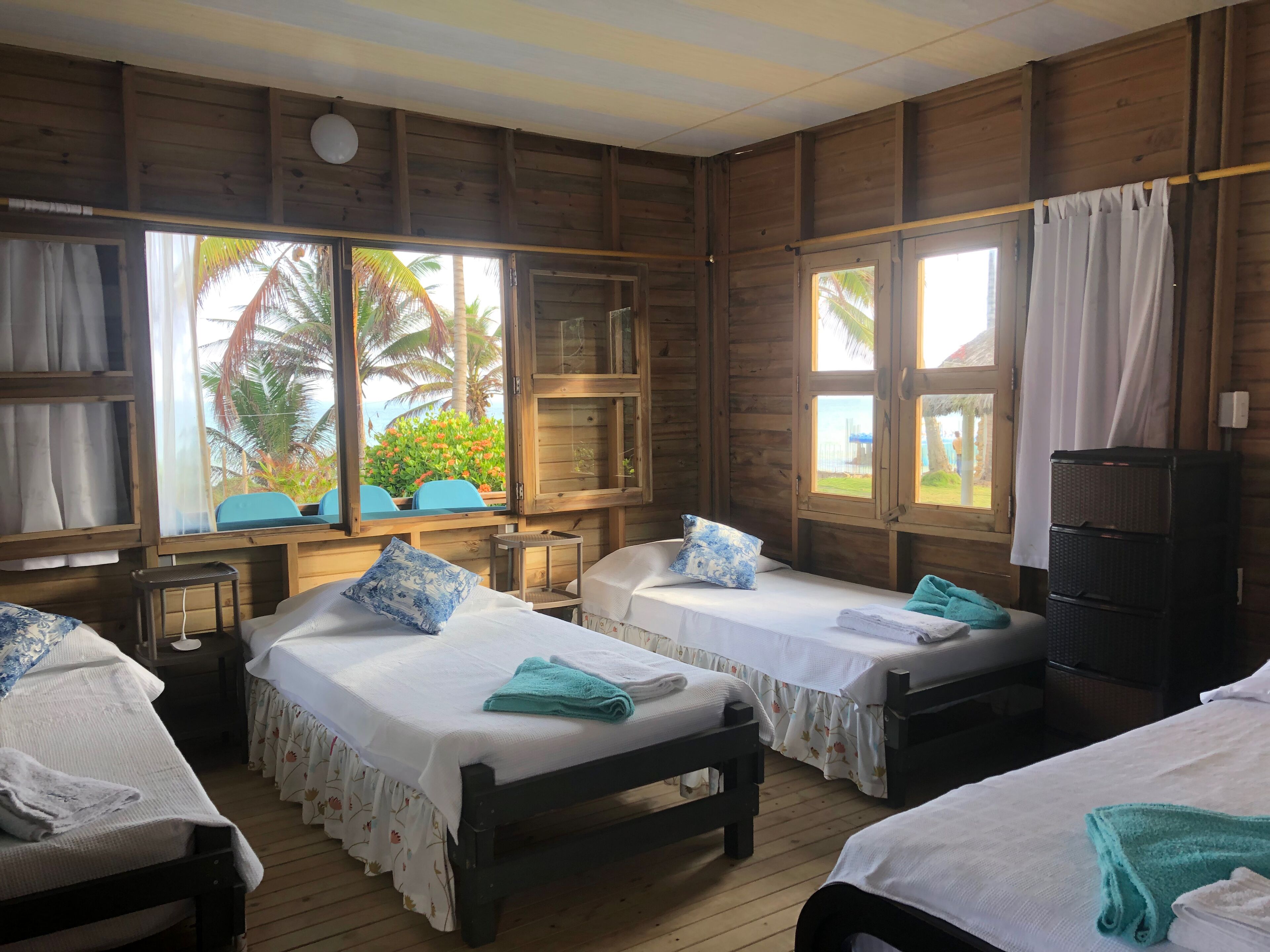 Sábanas de algodón egipcio, ropa de cama de alta calidad y edredón 