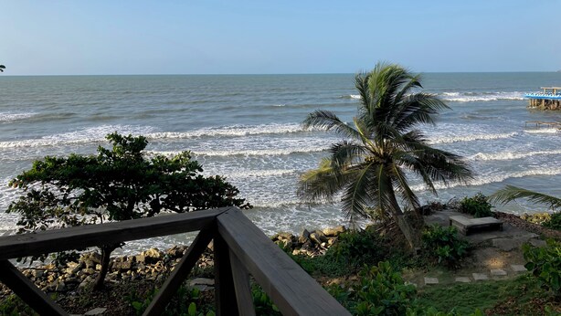 Vista costera con muelle de madera, palmeras y costa rocosa.