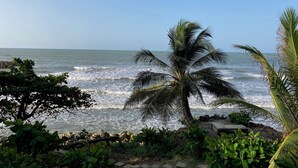 Una playa con olas, palmeras y un cielo despejado.