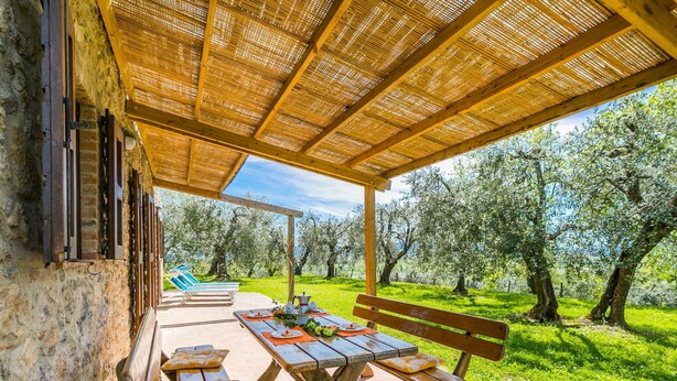 Une terrasse extérieure avec des bancs et des tables en bois, entourée d’oliviers.