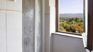 Een badkamer met een douche, een raam met uitzicht op een landschap en een handdoekhouder.
