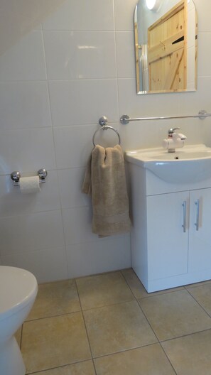 Une salle de bain avec des toilettes, un lavabo et une serviette suspendue à un anneau en métal.