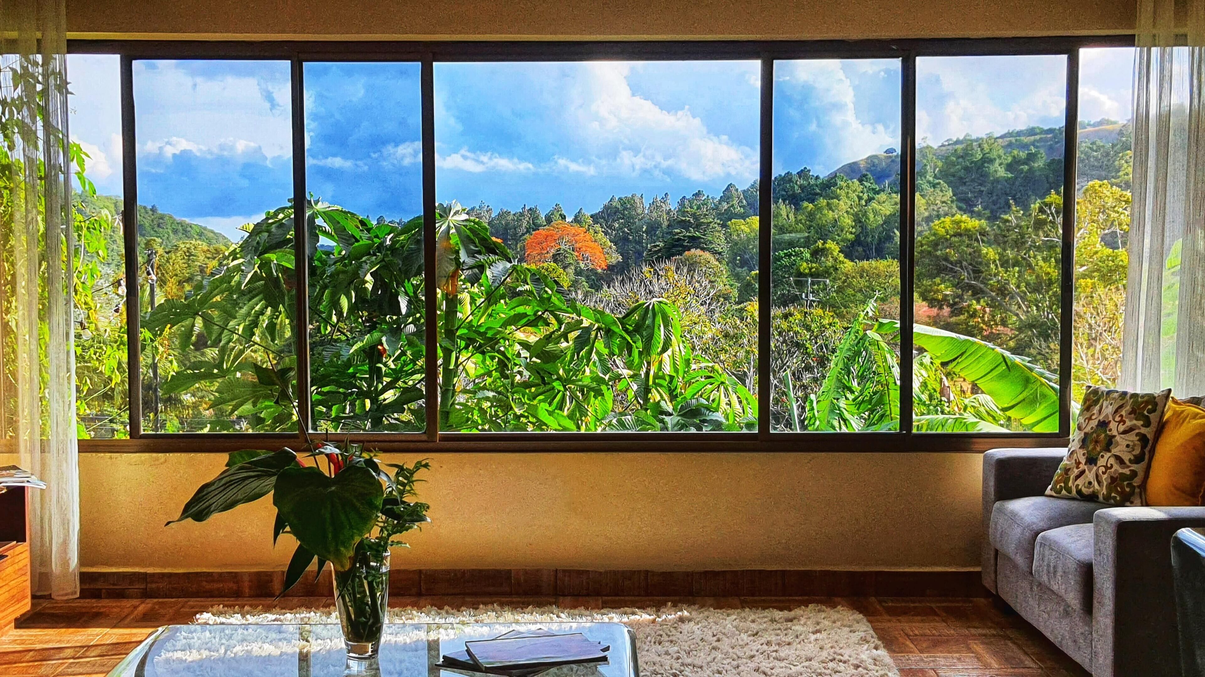 Habitació amb una finestra gran que ofereix vistes a vegetació abundant i turons.