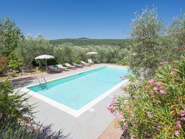 Pool - Stunning private villa for 6 people with private pool, hot tub, WIFI, TV, patio and pets allowed (Civitella In Val Di Chiana)