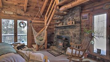 TV, fireplace, books