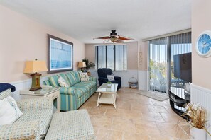 تلفزيون، مشغل دي في دي