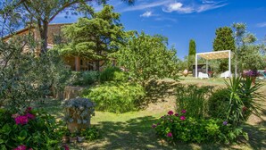 Un jardín con una pérgola, diversas plantas y un edificio al fondo.