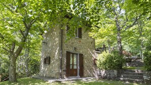 A stone building with a wooden door and windows, surrounded by lush greenery and trees. - Stunning private villa for 4 guests with private pool, TV, patio and pets allowed (Camucia-monsigliolo)