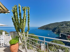 A balcony with a large cactus, a potted plant, and a view of the sea and a hilly landscape. - Beautiful  villa for 4 people with A/C, TV, terrace and pets allowed (Rio Marina)
