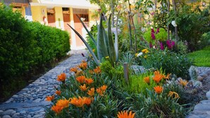 Un sendero en un jardín con flores naranjas y follaje verde, que conduce a un edificio de fachada amarilla y entrada visible.
