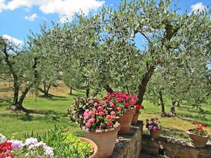 Property grounds - Cosy apartment in villa with A/C, pool, WIFI, TV, veranda and panoramic view, close to San Gimig... (Montaione)