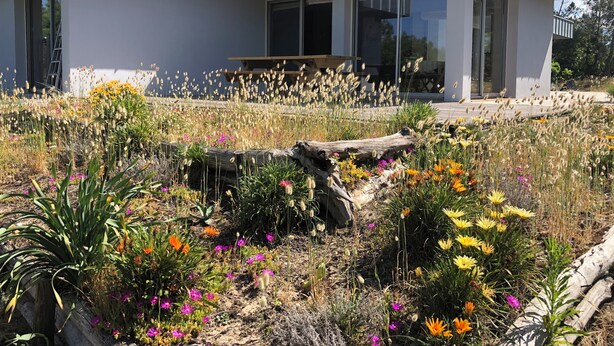 Ein modernes Haus mit großen Fenstern und einem Garten voller verschiedener Blumen und Pflanzen.