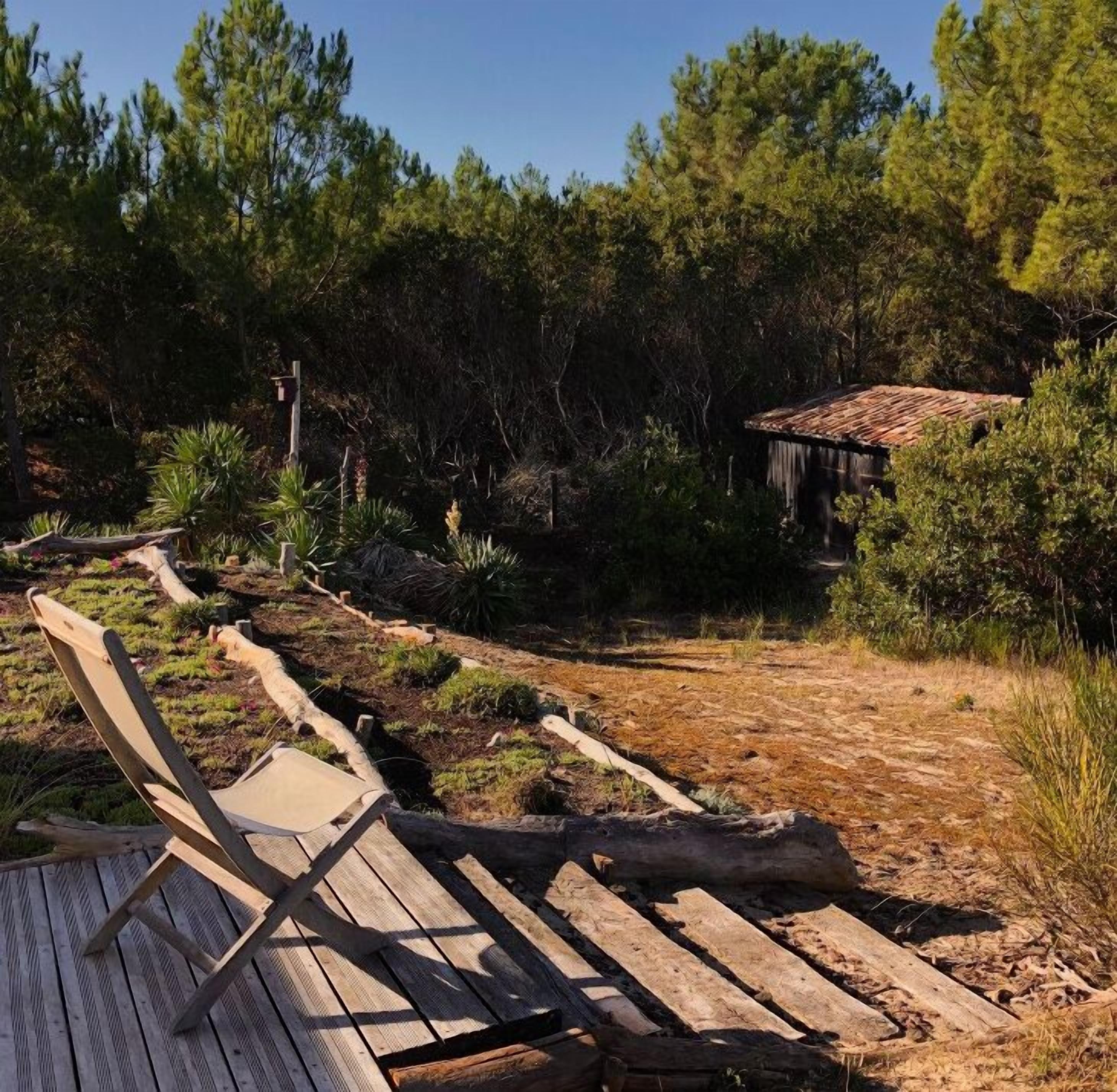 A wooden deck with a chair, surrounded by a garden with various plants and trees.