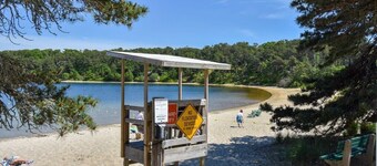 Perfect for Group w/ Kids & Dogs w/ Hot Tub