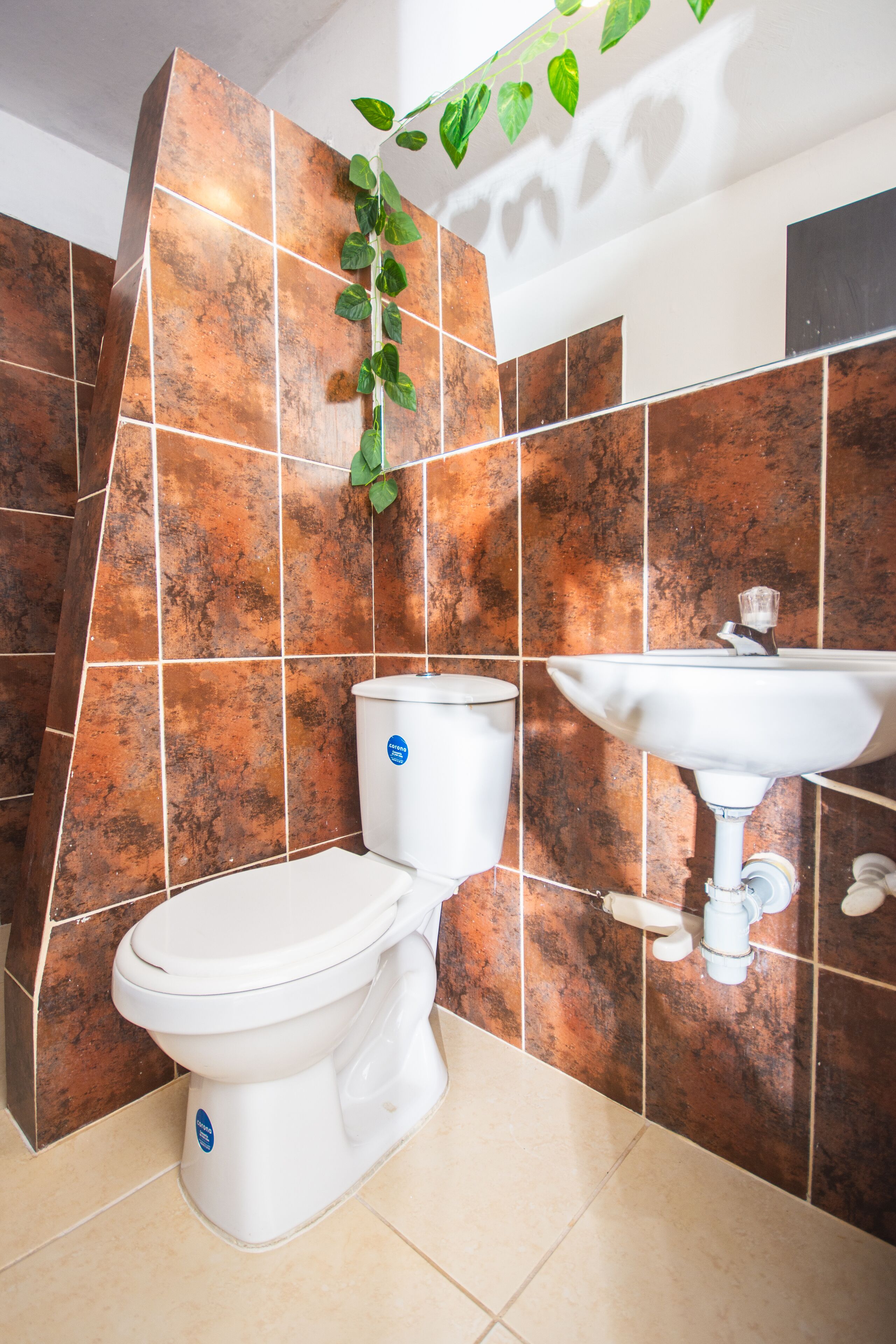 Un baño con inodoro y lavamanos, paredes de azulejos marrones y una planta verde.