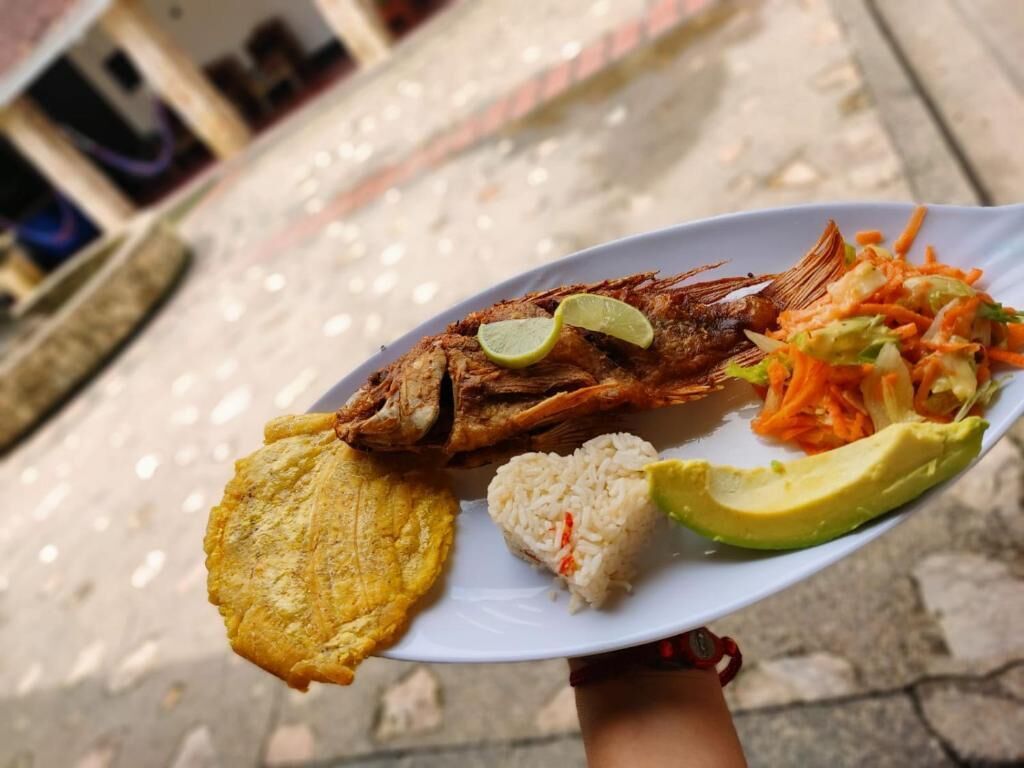 Ein Teller mit gebratenem Fisch, Reis, Avocado und einem gemischten Salat.