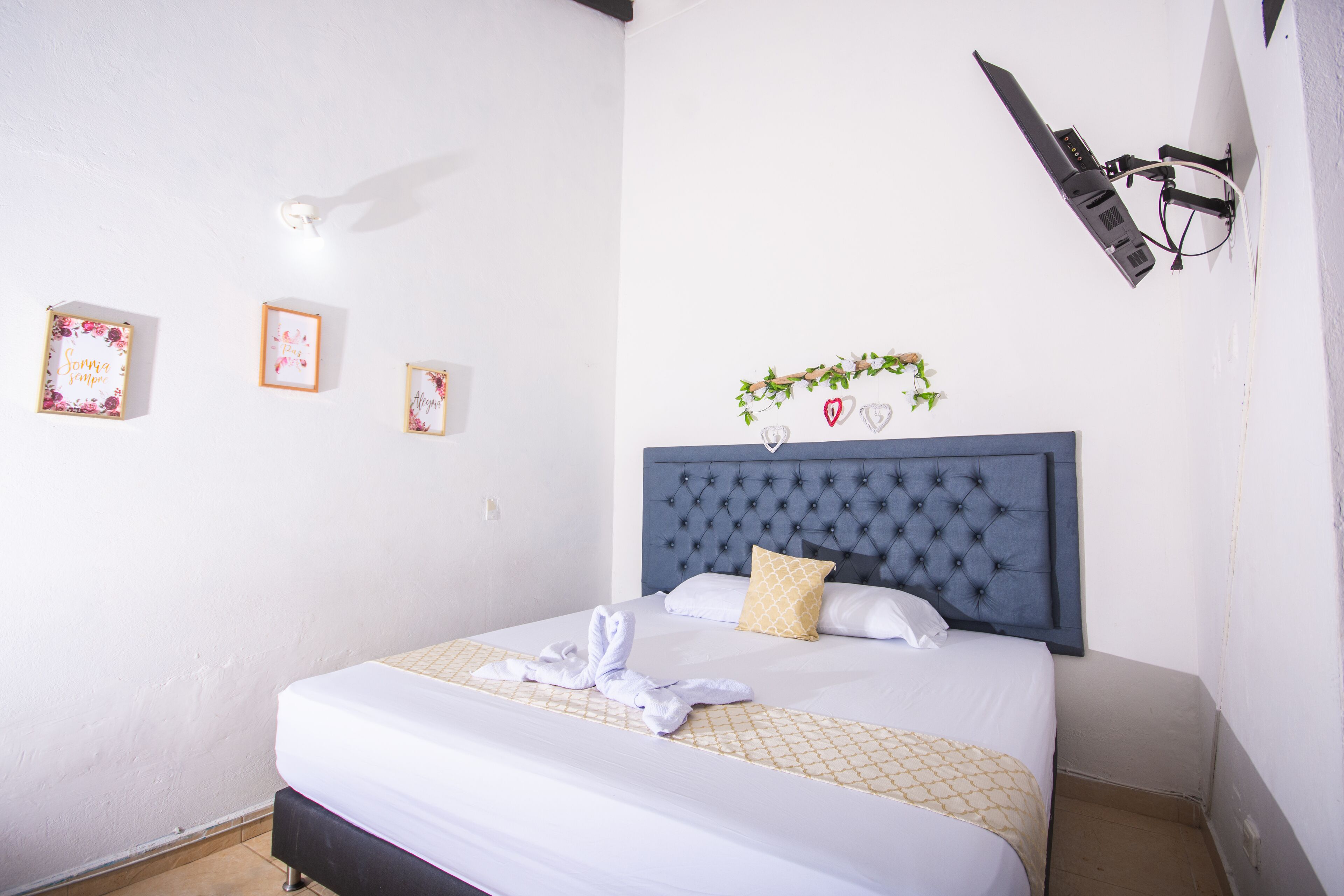 Una cama bien hecha con cabecera capitonada, ropa de cama blanca y una almohada decorativa. Hay cuadros en la pared y una pequeña planta sobre la cama.