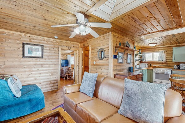 تلفزيون، مدفأة، مشغل دي في دي، كُتُب