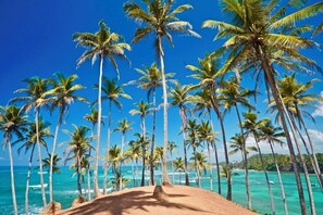 A beach with tall palm trees and a clear blue sky. - Lotus Grand Rest (Mirissa)
