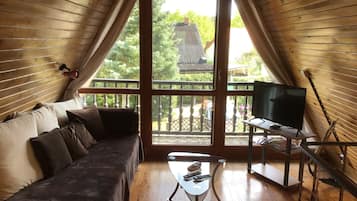 TV, fireplace, books