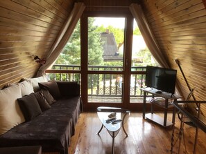 Televisión, chimenea y libros 