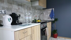 A modern kitchen with wooden cabinets, a stove, a sink, and a potted plant. - apartments are located in a quiet area near the park. there are 2 restaurants (Lviv)