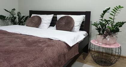 les appartements sont situés dans un quartier calme à proximité du parc. il y a 2 restaurants