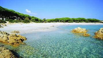 Plage à proximité, serviettes de plage