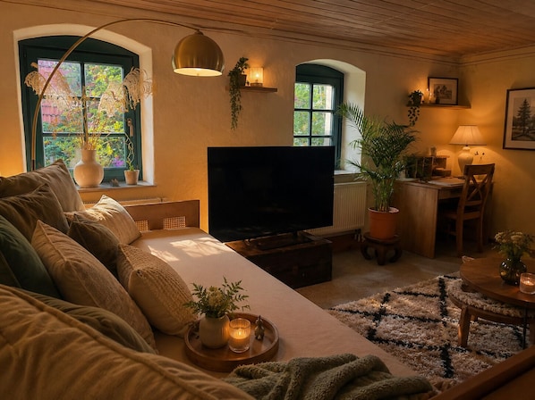 Fernseher, Bücher