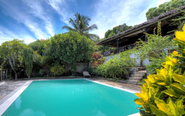 Piscina rodeada de exuberante vegetación y una estructura con techo de paja.